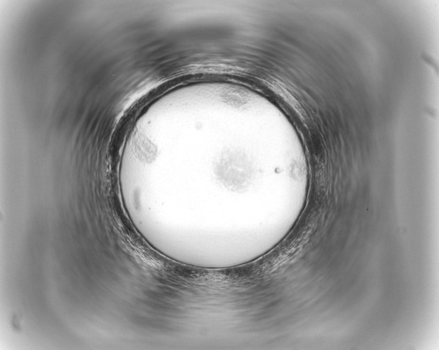 X0000093410971200711020952