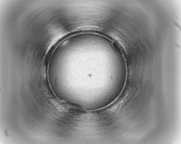 X0000093410973200711020952