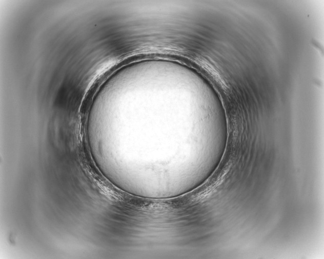 X0000093410974200711020952