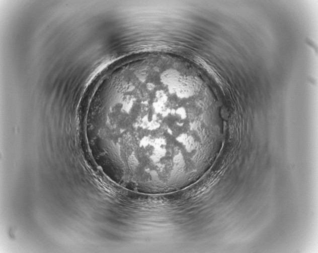 X0000093410975200711020952