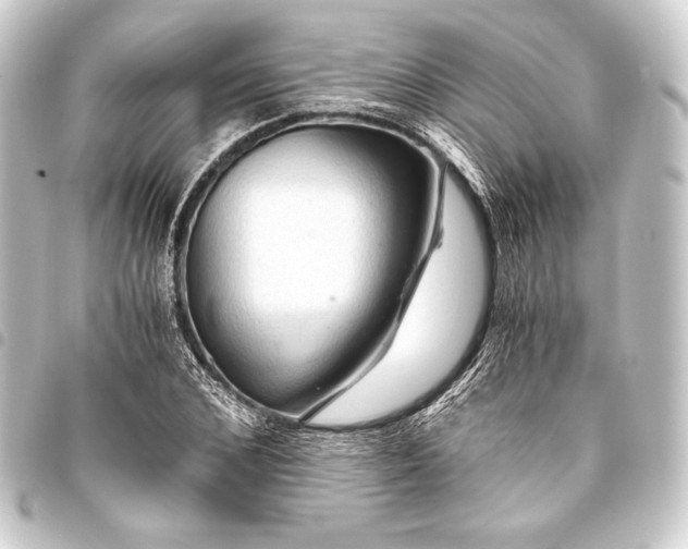 X0000093410976200711020952