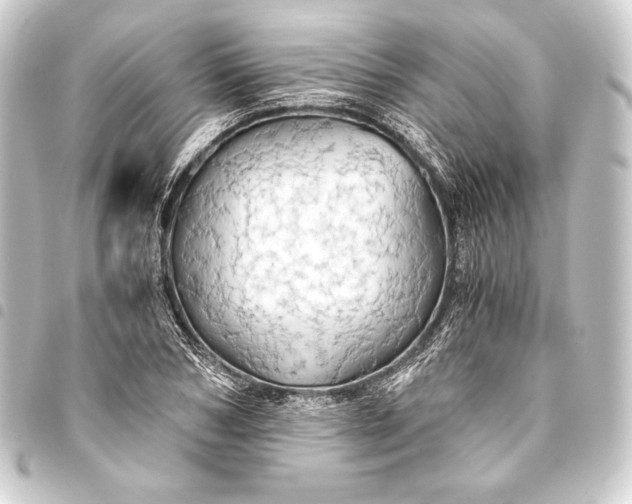 X0000093410978200711020952