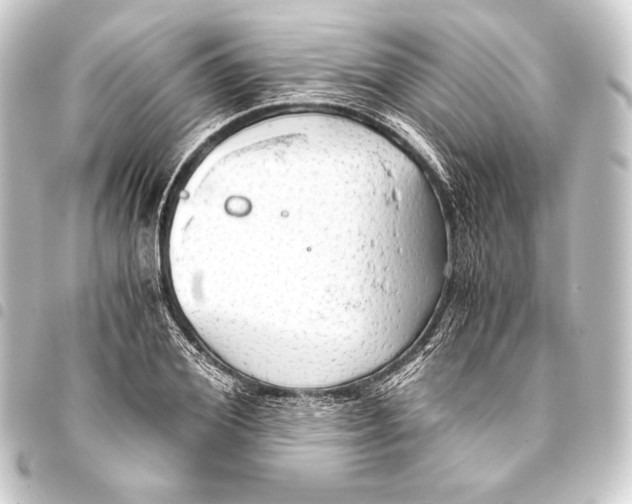 X0000093410980200711020952