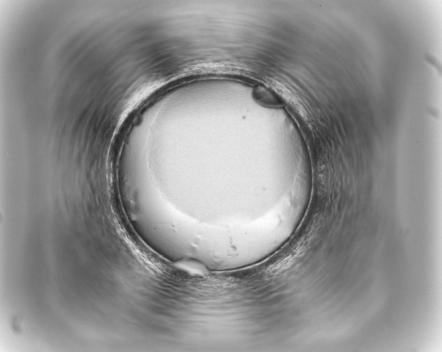 X0000093410981200711020952