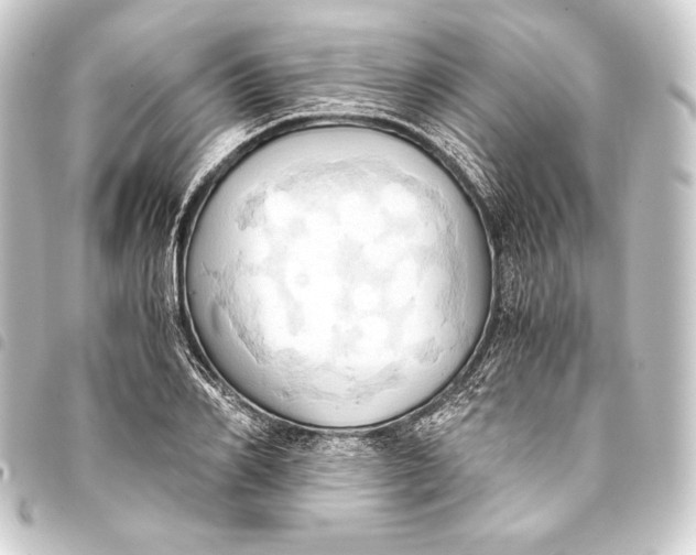 X0000093410982200711020952