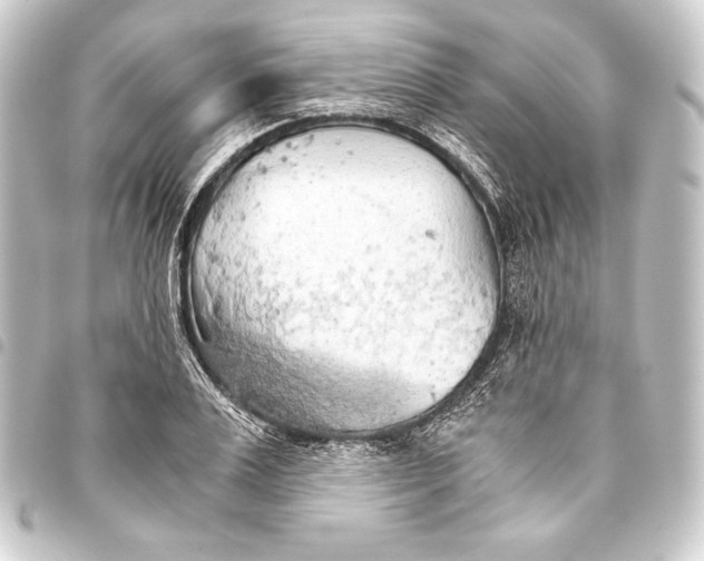 X0000093410983200711020952