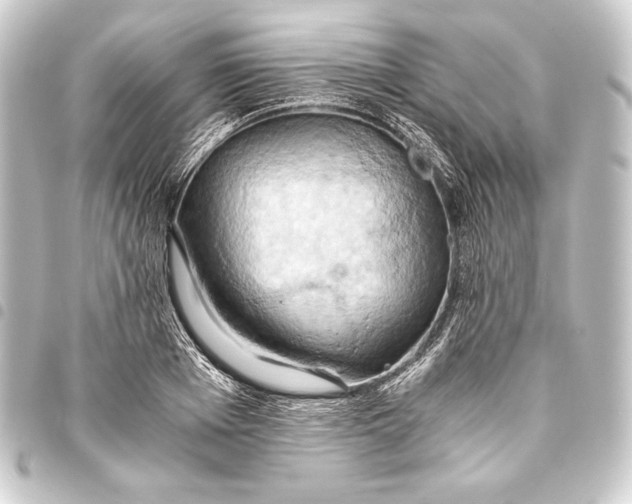 X0000093410985200711020952