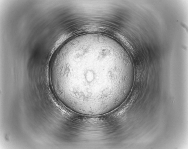 X0000093410986200711020952