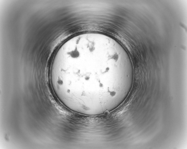 X0000093410987200711020952