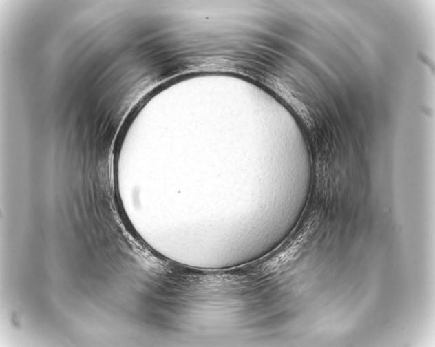 X0000093410988200711020952