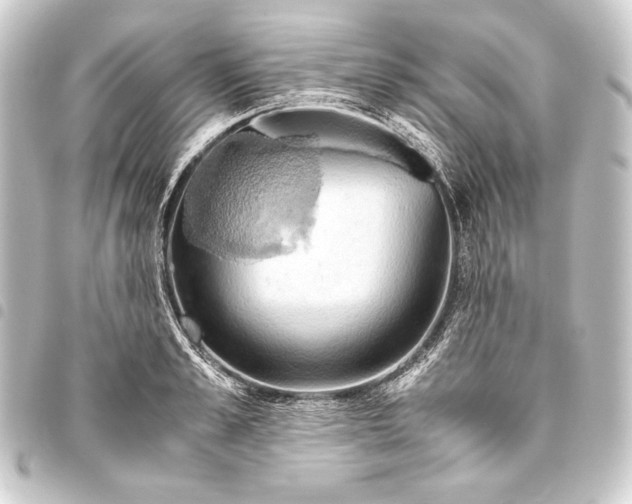 X0000093410989200711020952