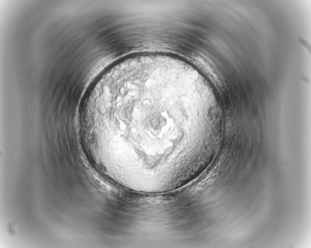 X0000093410990200711020952