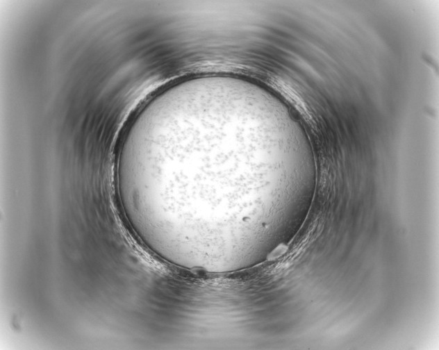 X0000093410992200711020951