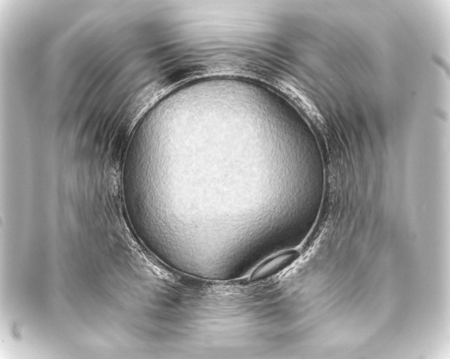 X0000093410993200711020951