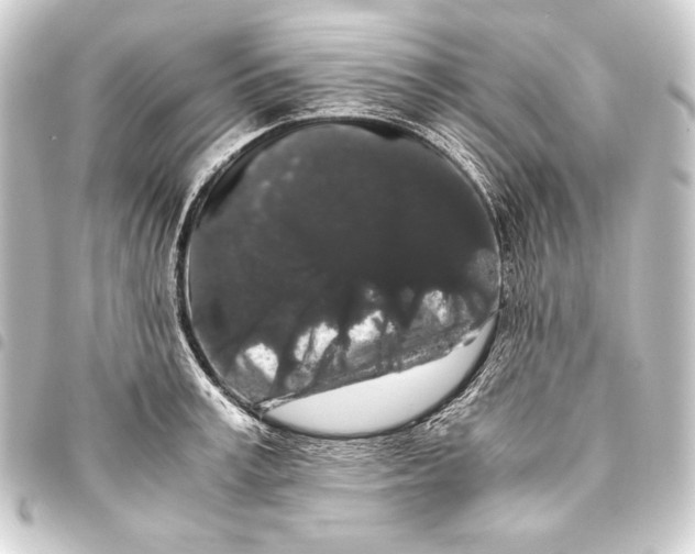 X0000093410995200711020951