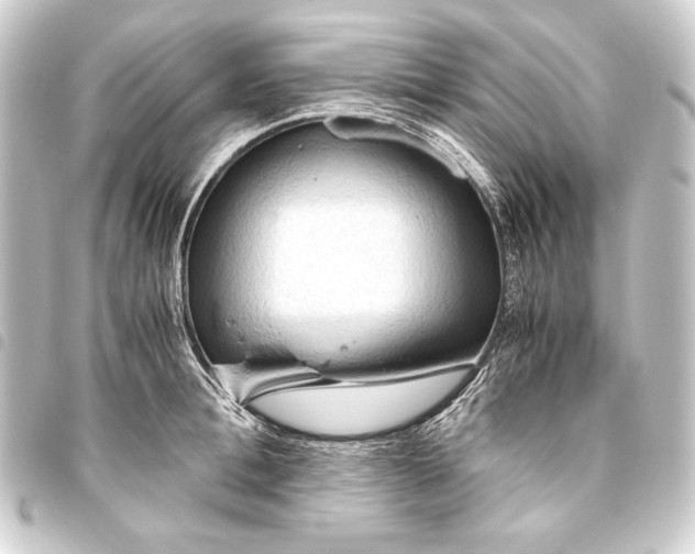 X0000093410996200711020951