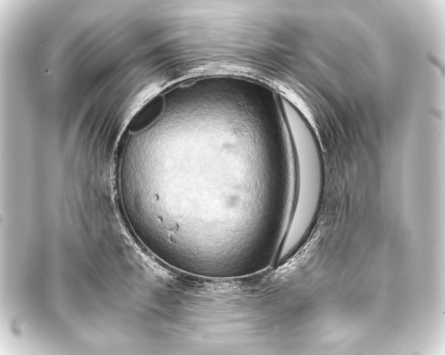 X0000093410997200711020951