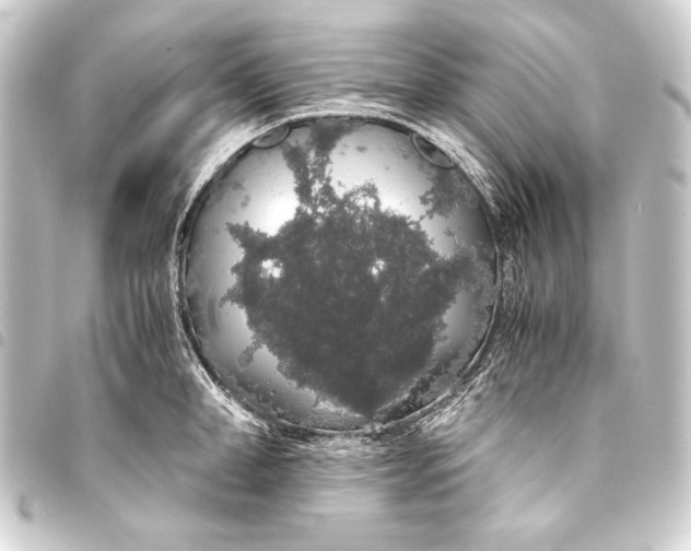 X0000093410998200711020951