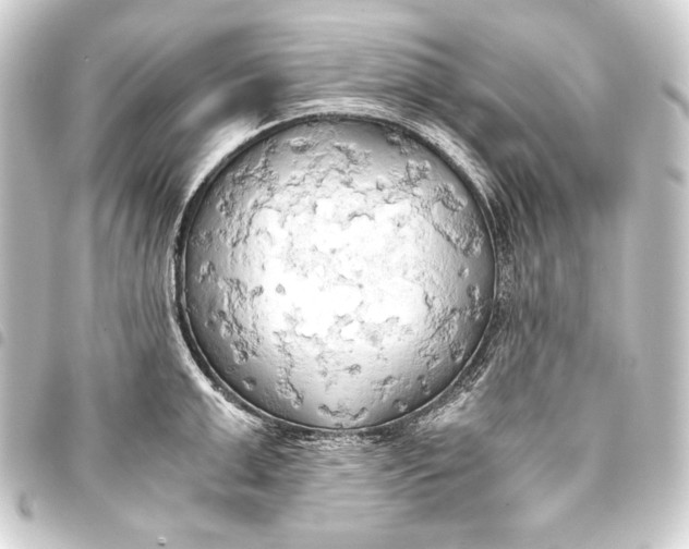 X0000093410999200711020951