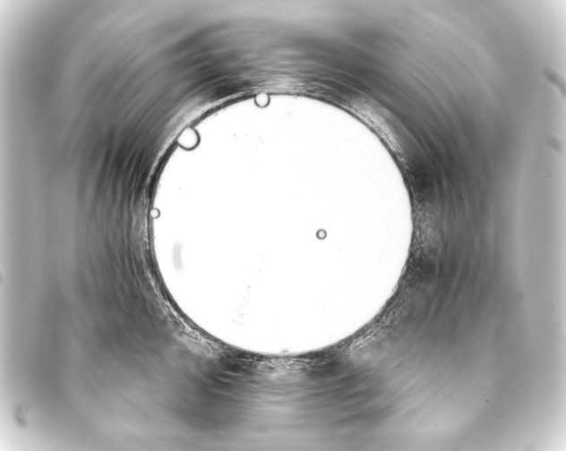 X0000093411000200711020951