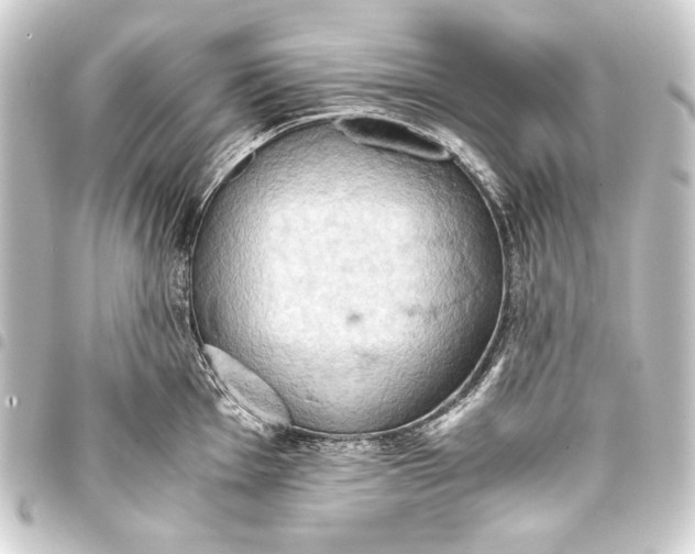 X0000093411001200711020951