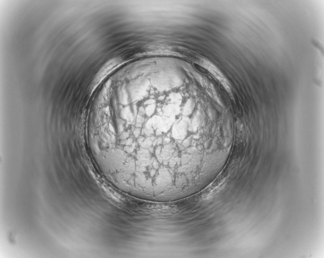 X0000093411002200711020951