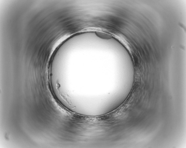 X0000093411003200711020951