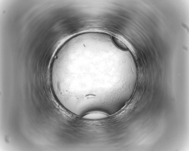 X0000093411004200711020951