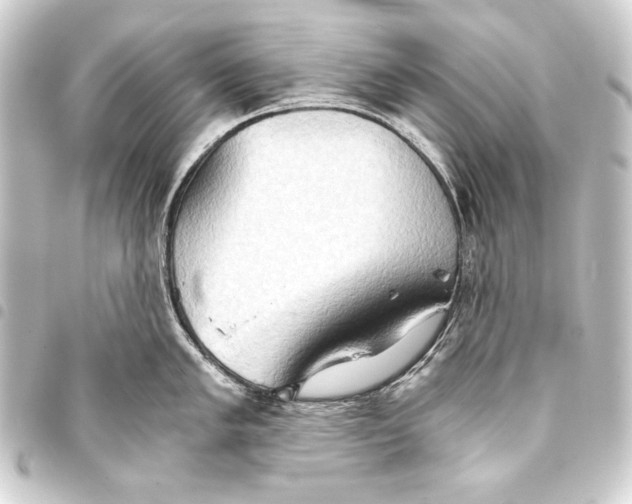 X0000093411005200711020951