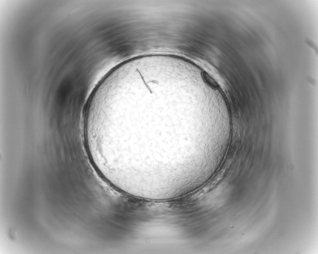 X0000093411006200711020951