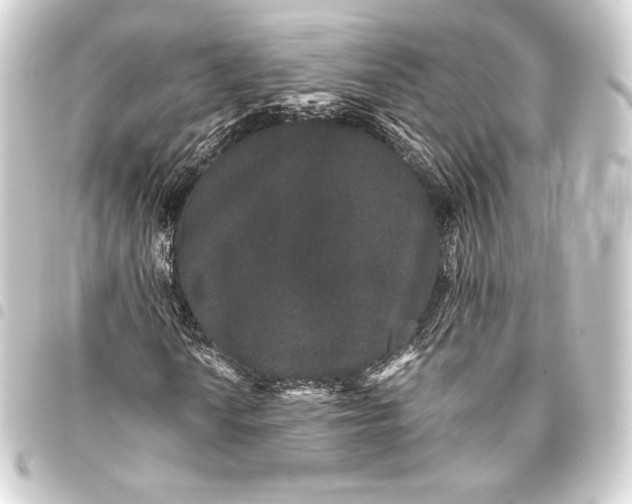 X0000093411010200711020950