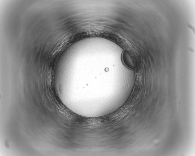 X0000093411012200711020950