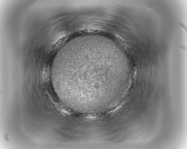 X0000093411014200711020950