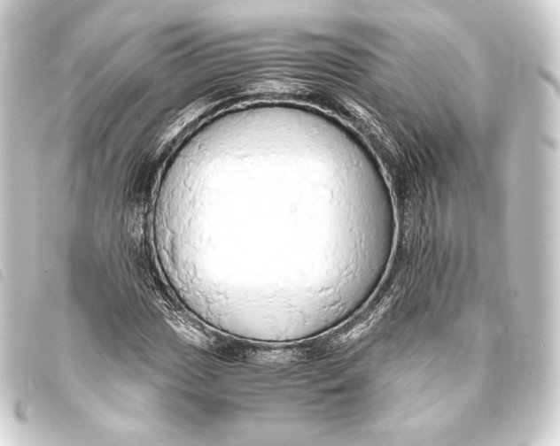 X0000093411017200711020950