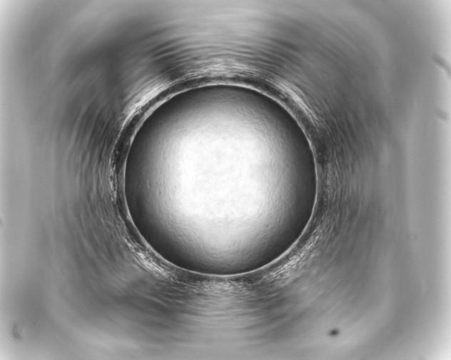 X0000093411018200711020950