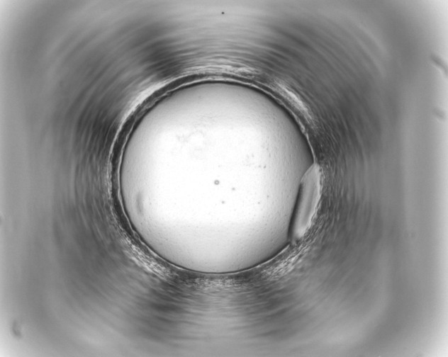 X0000093411020200711020951