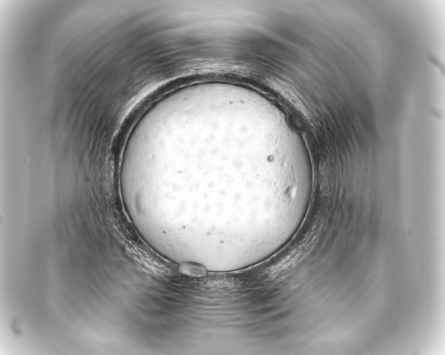 X0000093411021200711020951