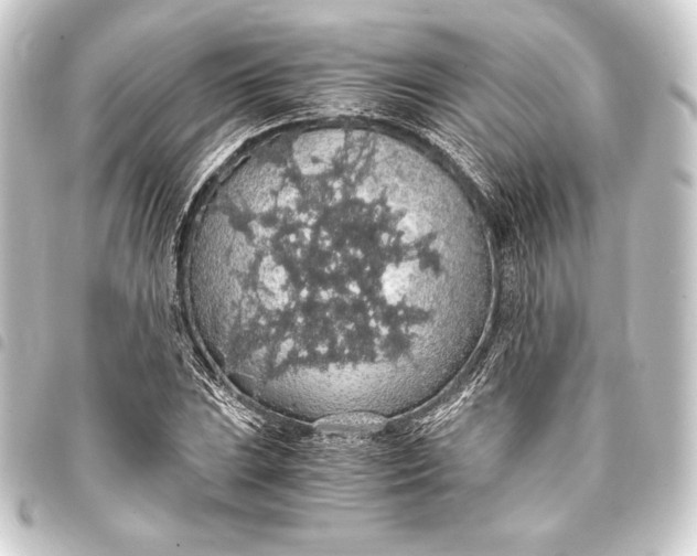 X0000093411023200711020951