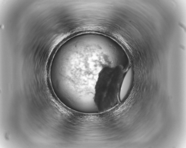 X0000093411024200711020951