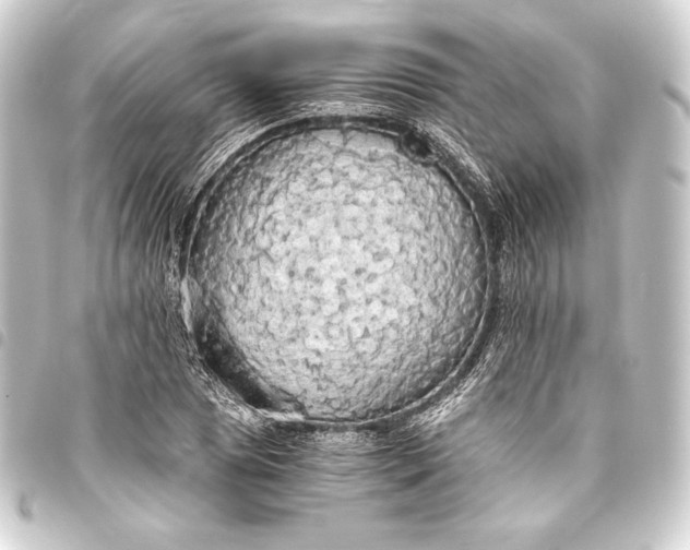 X0000093411025200711020951