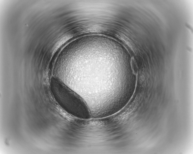 X0000093411026200711020951