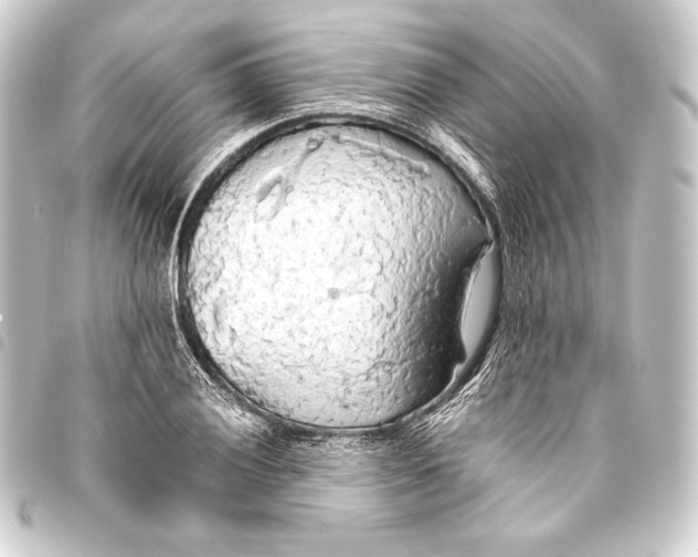 X0000093411028200711020951