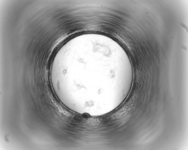 X0000093411029200711020951