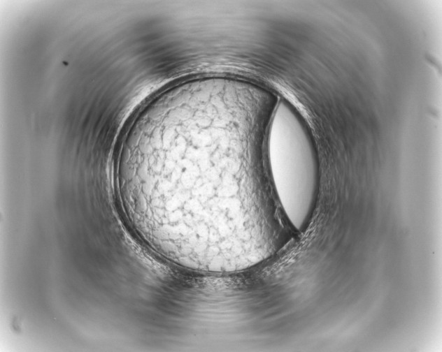 X0000093411032200711020951