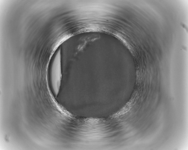 X0000093411034200711020951