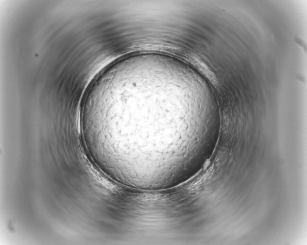 X0000093411036200711020951