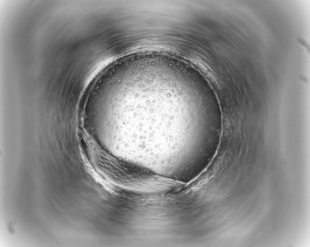 X0000093411038200711020951