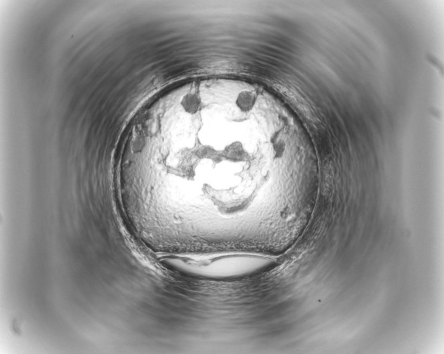 X0000093411039200711020951