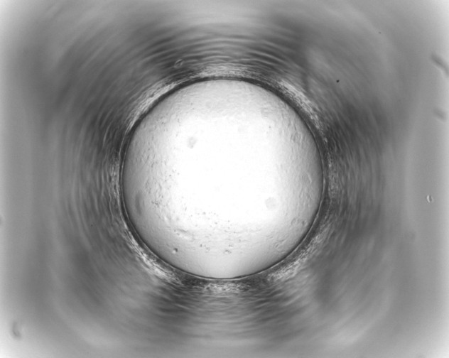 X0000093411041200711020951