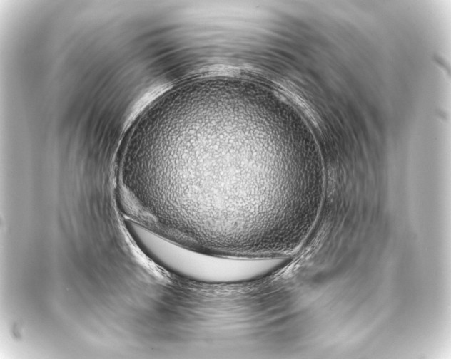 X0000093411042200711020951